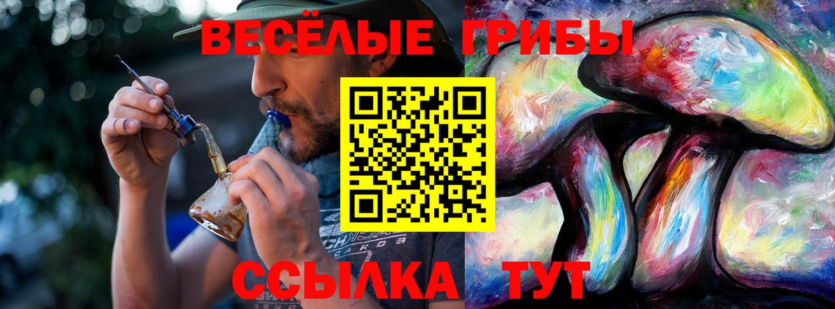 Биробиджан  Псилоцибиновые грибы мухоморы  Вход с VPN 