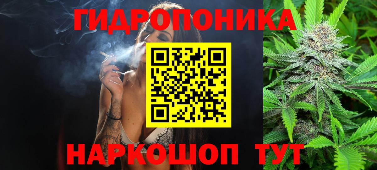 Шишки марихуана гибрид Биробиджан